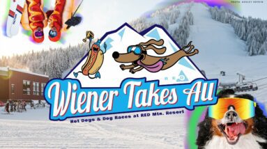 First Annual Wiener Takes All Dog Race at RED!