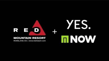 Partnership with YES Snowboards + NOW Bindings