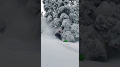 Andrew Wood + Tristan Hansen Riding Pow at RED Resort