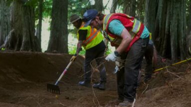 RED Mountain Bike Park Coming Summer 2025