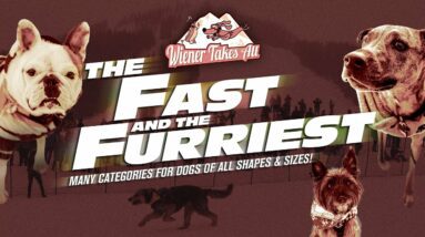 4th Annual Wiener Takes All: The Fast and the Furriest