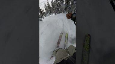 RED Ski POV RED Ski POV