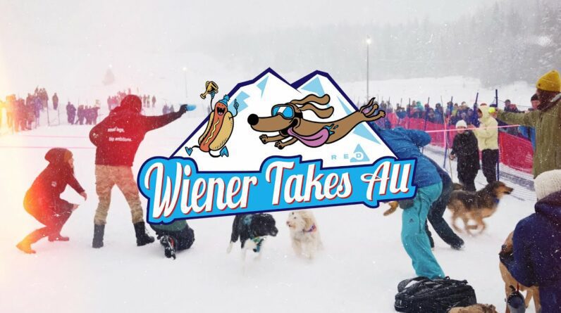 The 4th Annual Wiener Takes All Recap 2025